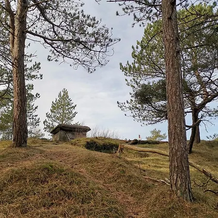 4 Person In Oksbol-by Traum