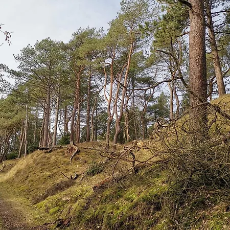 Casa de Férias 4 Person In Oksbol-by Traum *