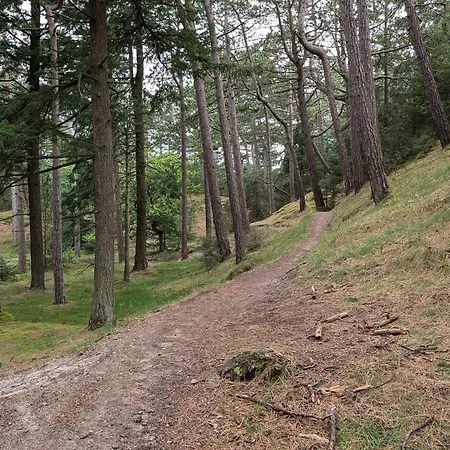 4 Person In Oksbol-by Traum Oksbøl