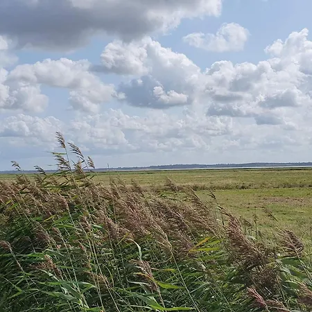 4 Person In Oksbol-by Traum * Oksbøl