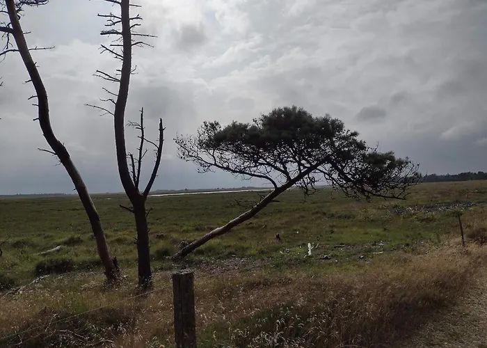 4 Person In Oksbol-by Traum