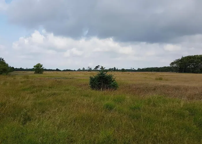 4 Person In Oksbol-by Traum Semesterbostad *