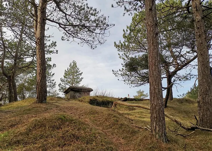 4 Person In Oksbol-by Traum