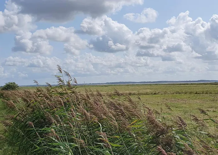 4 Person In Oksbol-by Traum * Oksbøl