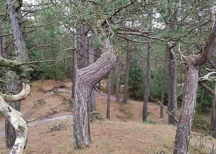 4 Person In Oksbol-by Traum * Oksbøl