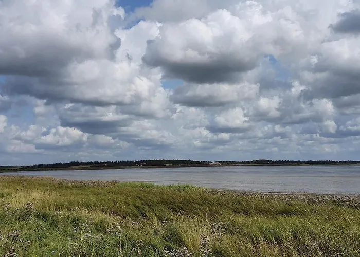 Semesterbostad 4 Person In Oksbol-by Traum Oksbøl